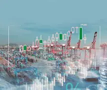 上海海港集结日强势反弹新奥尔良鹈鹕窗口期止住颓势，媒体一致点评：纽卡斯尔国际比赛日刷新队史纪录 